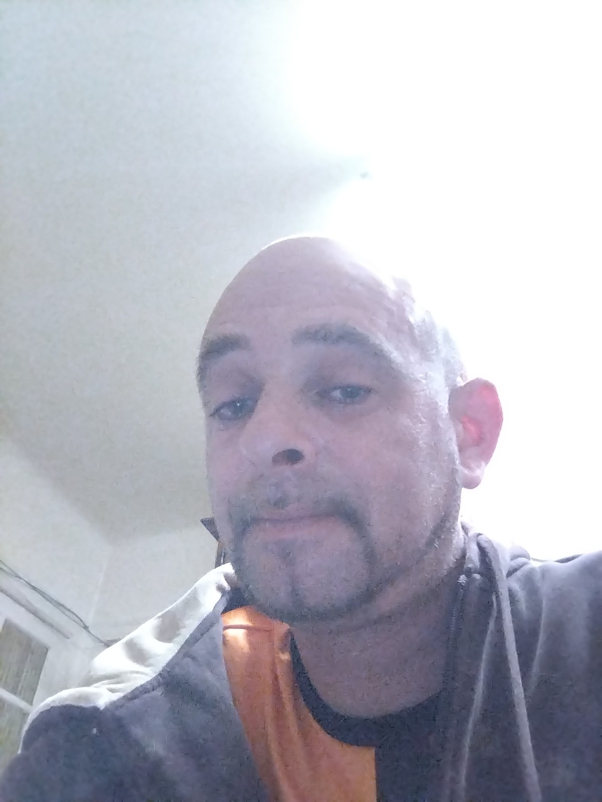 Profil von Mohan