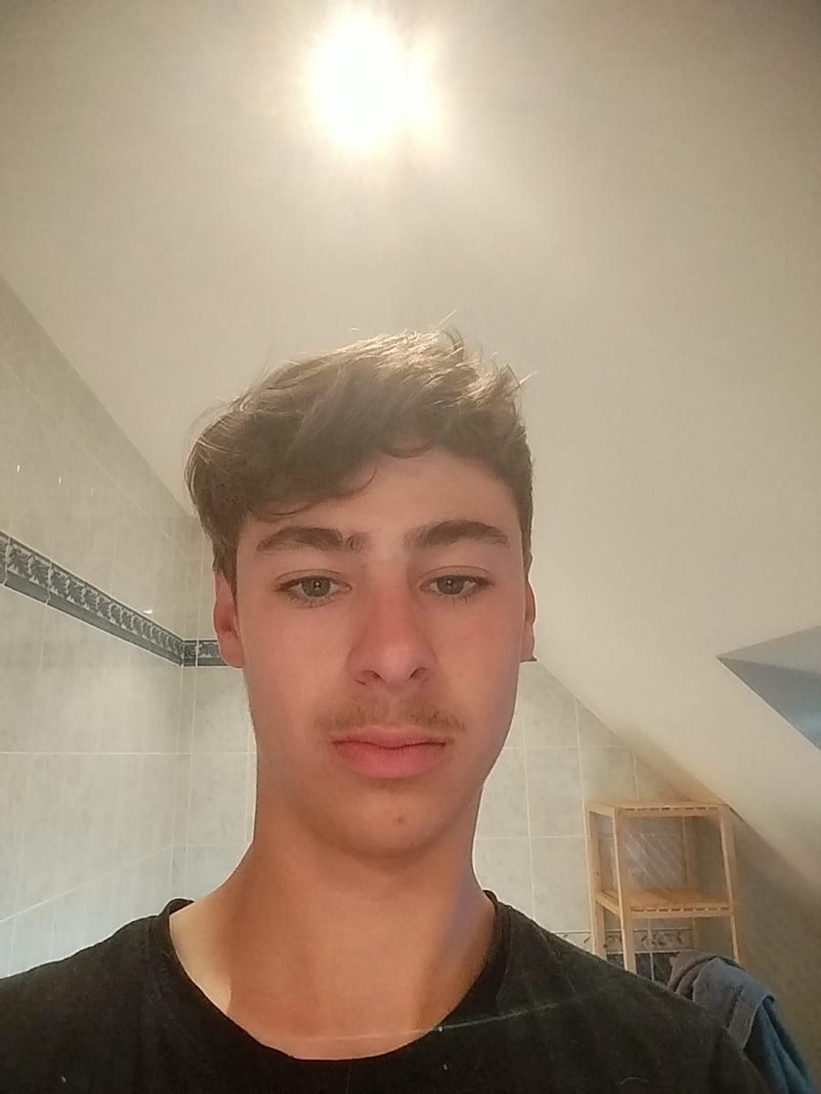 Profil von Maieul