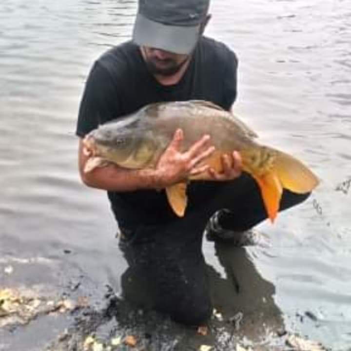 Profil von Feycal