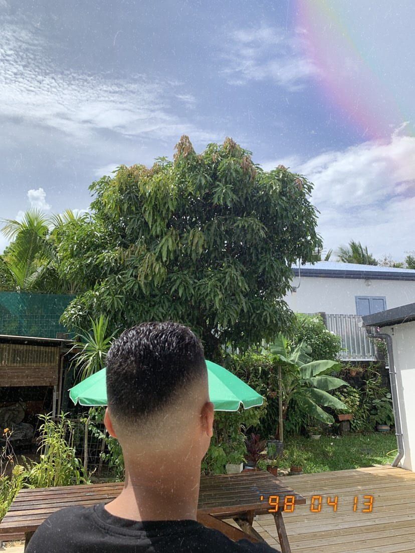 Profil von Ely