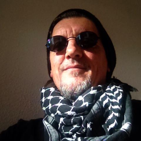 Profil von Paddy